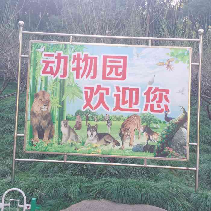 赭山动物园-"强烈建议把动物园门票调整到30(单门票).