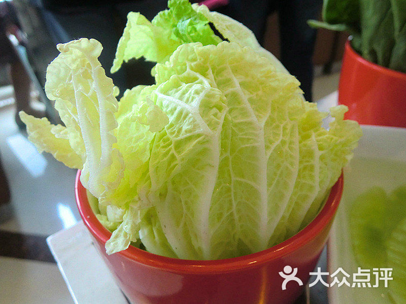 高兴火锅(知春路店)大白菜图片 - 第5张
