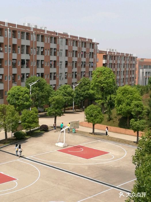 中南林业科技大学涉外学院篮球场图片