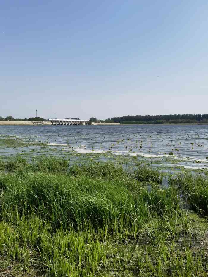 沙河水库-"离市里不远,听说有很多鸟儿所以过来观鸟.
