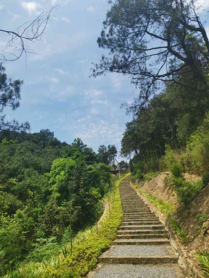 玉峰山森林公园