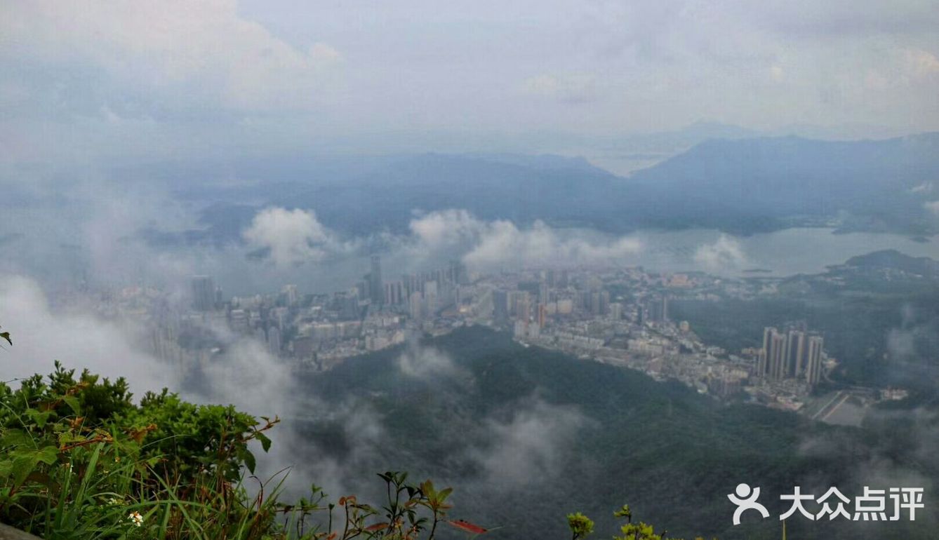 深圳梧桐山