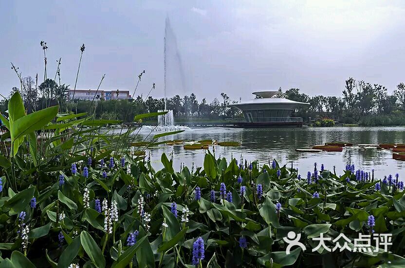 西安植物园新区图片 - 第50张