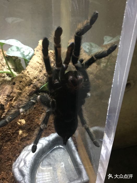 不会英语进门有些犹豫。听见一声Welcome.