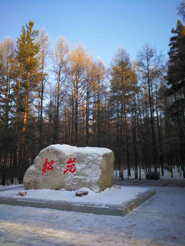 松苑原始森林公园-"松苑原始森林公园在漠河县城里面