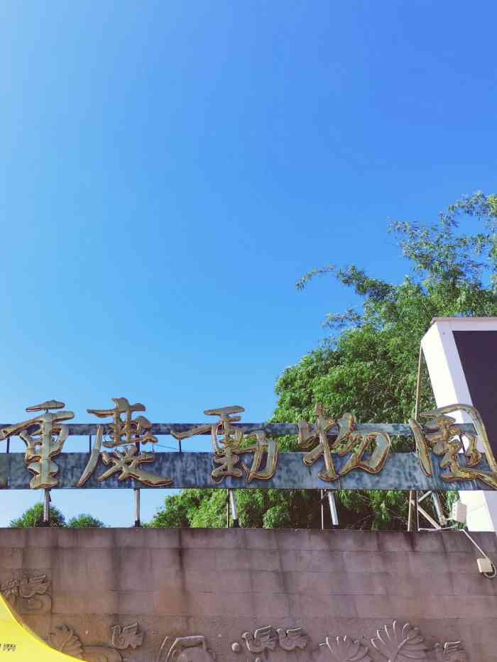 重庆动物园-"杨家坪动物园,重庆本地人也会去的一个景点.