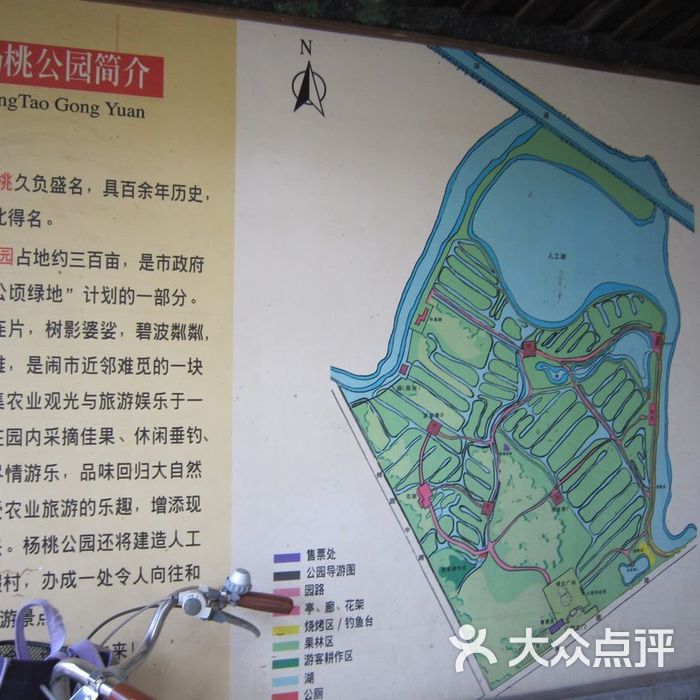 杨桃公园
