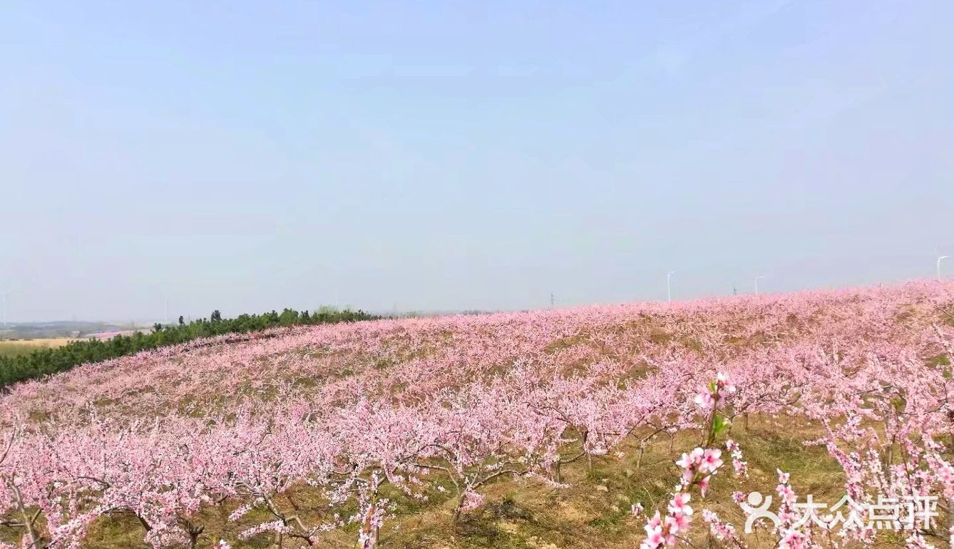 安徽滁州明光三界镇～吴岗村