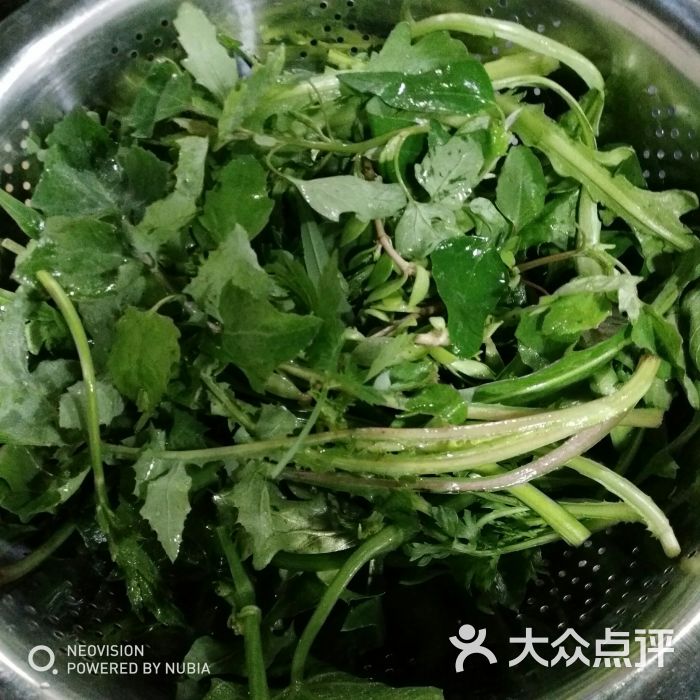 黔府豆米火锅野菜馆图片 - 第1张