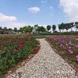 【天下玫景】电话,地址,价格,营业时间(图) - 句容市