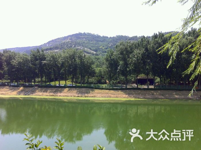 腊山湖公园树林图片 - 第3张