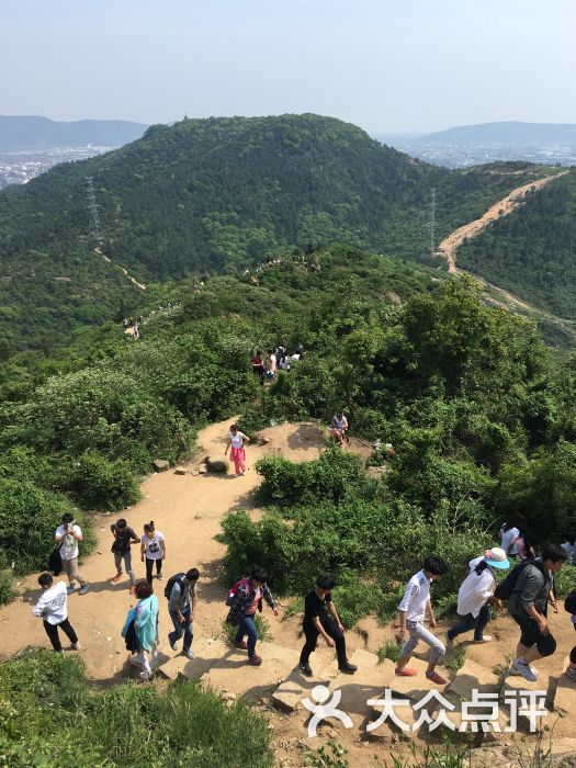 灵岩山风景区图片 - 第13张