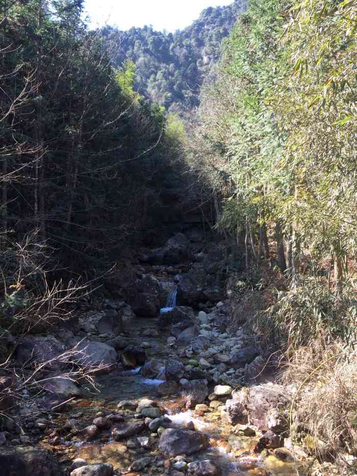 箬寮原始林-"浙南箬寮原始林景区以原生态的自然风光.