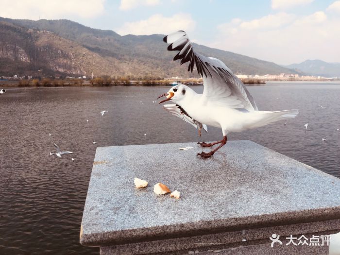 【1】有人云:试金可以用火,试女人可以.-海埂