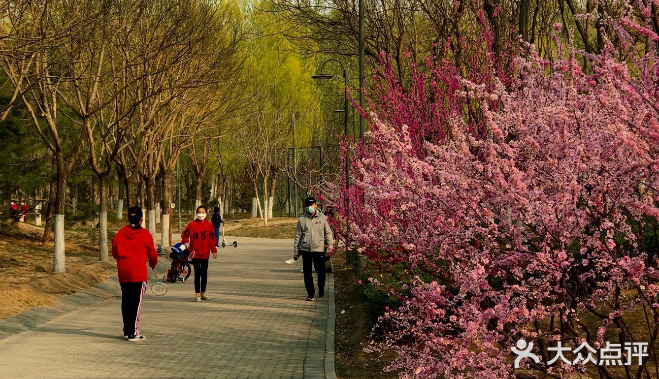 今年第一次欣赏美丽的春景
