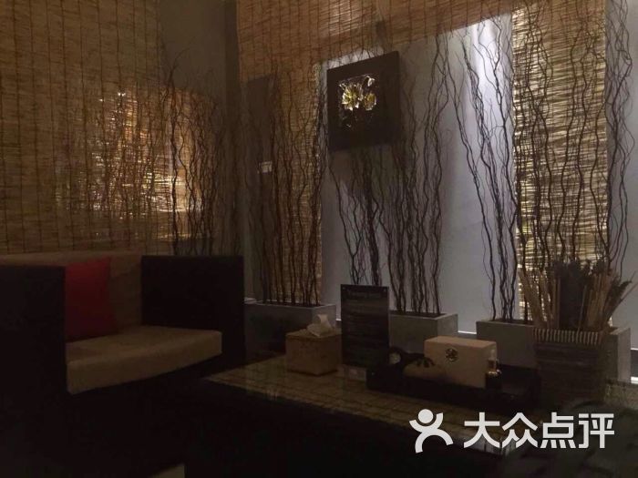 young spa 天然矿物能量按摩美容会馆(观前店)young spa 水之漾图片