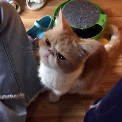 wMbG9di2OQXhbUjlWpxakB1YP21t4yQb0MZOECHnF4B2SwA7qqbrx1ahNndICnYrF5u7J_jS4MuCaeLAHD0KTg.jpg