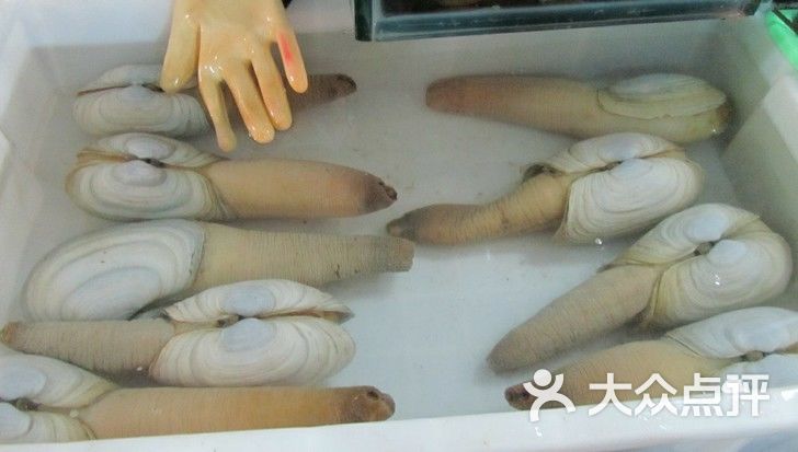 三亚重庆英姐海鲜_海鲜重庆小面_韩姐小海鲜电话(2)