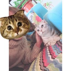 wO4jht_HaME7ShdgOCix4g6S0x0vnZatT2Dz5KHOI0B8MJdP1Kqdm4-kPdOGmJWT.jpg