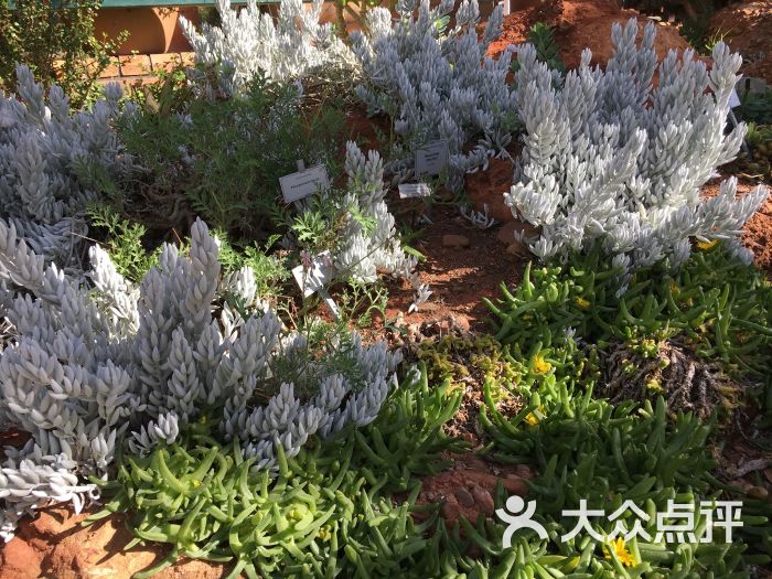 康斯坦博西植物园图片 第8张