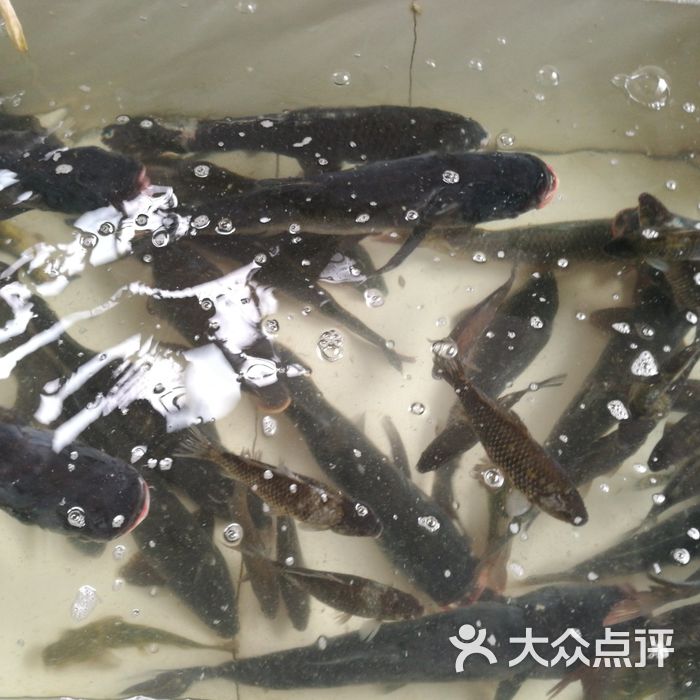 超群水库活鱼馆