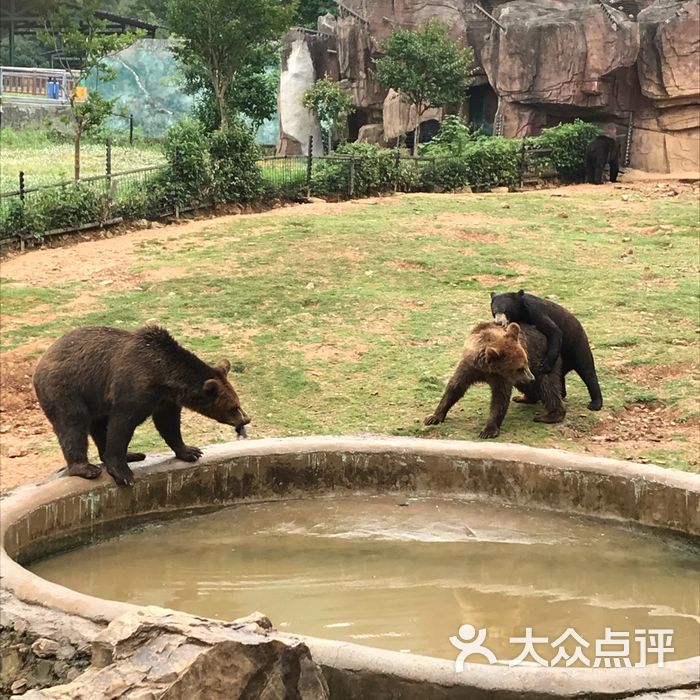无锡动物园·太湖欢乐园