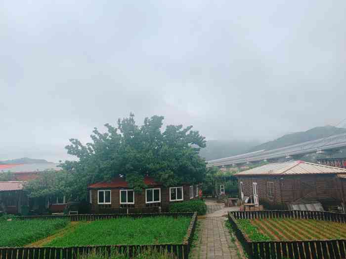明秀园山庄-"明秀园山庄位于崂山樱桃之乡北宅周哥庄