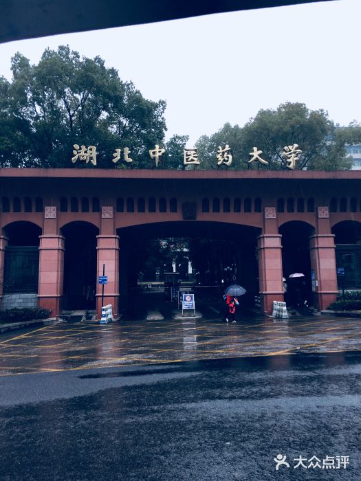 湖北中医药大学(昙华林校区)图片