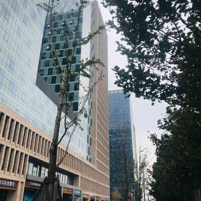 凯利国际中心-b座
