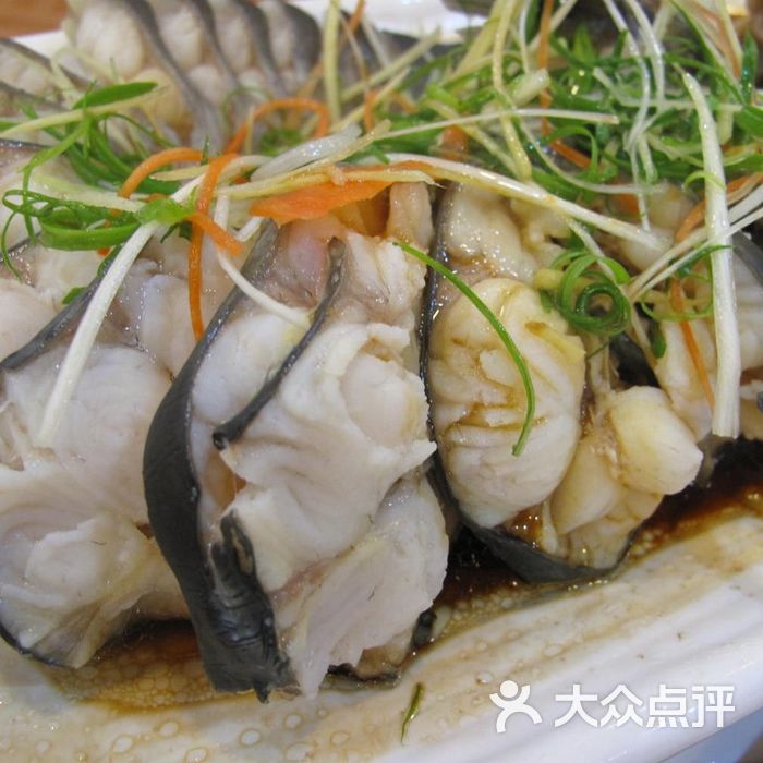 剑骨鱼 