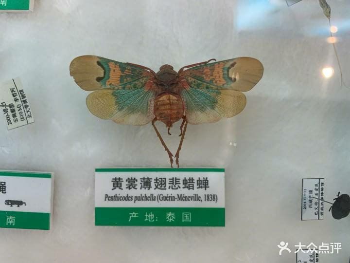 石家庄动物园是那年冬天去的,现在在看当时.