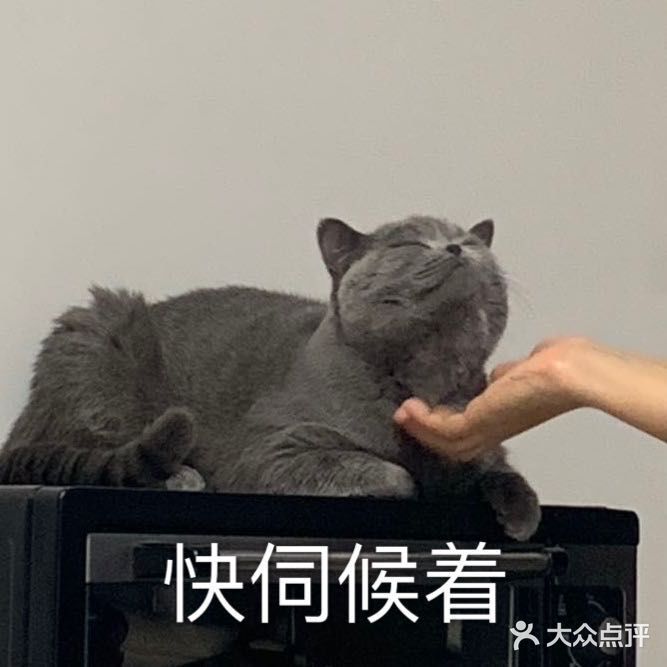 八喜的表情包,尤其是暗中观察,逗死我了