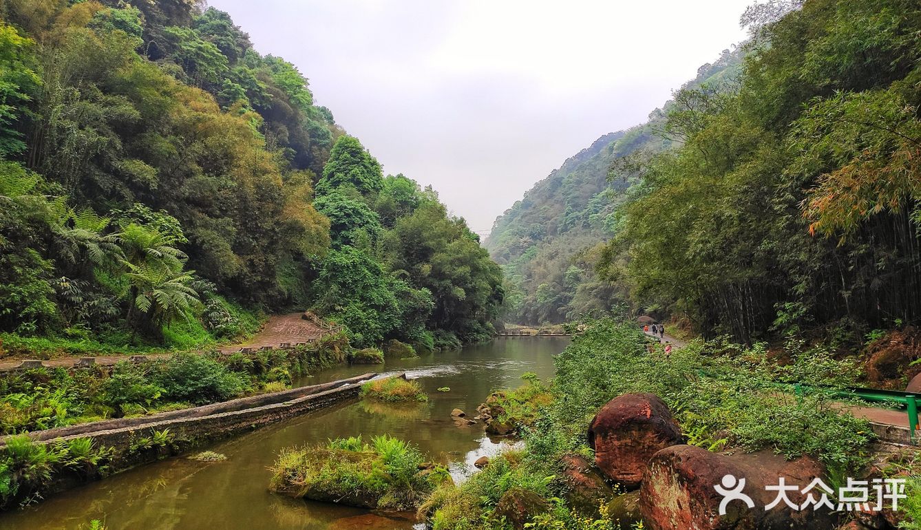 地理位置:长宁县七洞沟景区 出行方式:建议自驾直接到