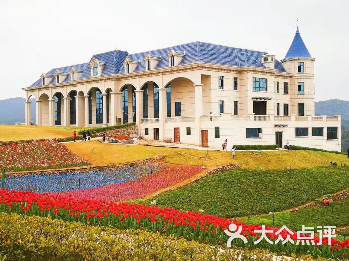 凯光新天地新余亚热带植物园图片 - 第56张