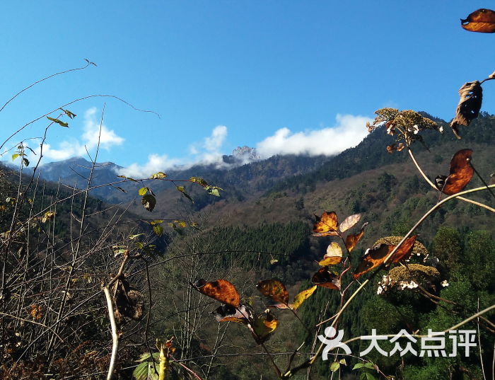 鸡冠山图片 第14张