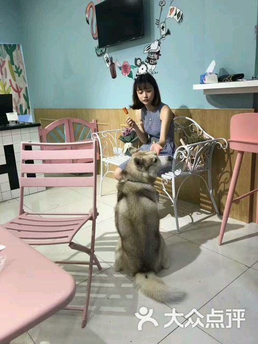 悠悠酱的蛋糕店