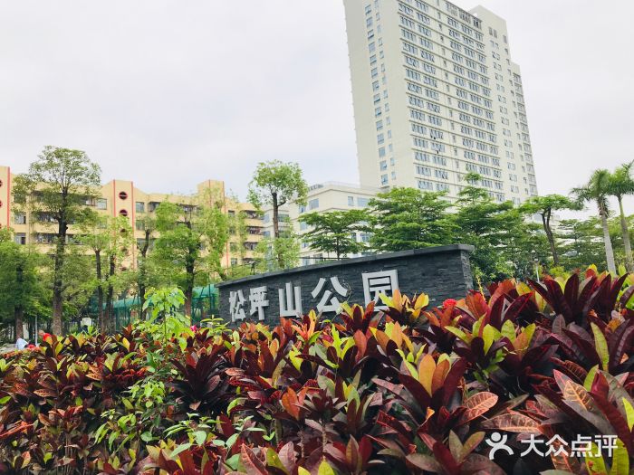 松坪山公园图片