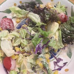 萨莉亚意式餐厅的芝麻叶色拉好不好吃?用户评