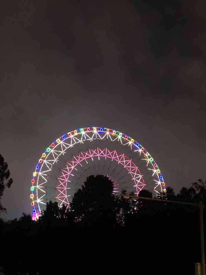 打分 凤岭儿童公园的摩天轮又开始亮了