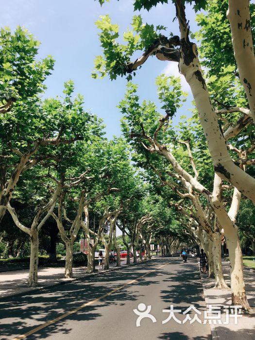 上海师范大学(徐汇校区)图片 第1张