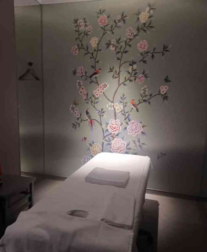 奈瑞儿美颜美养spa(布吉万象汇店)