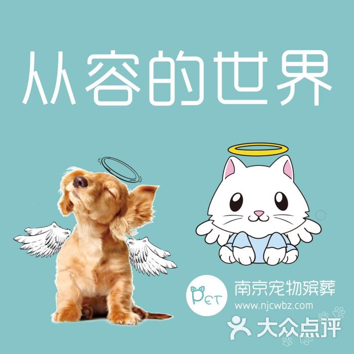 宠物殡葬-从容的世界图片 - 第4张