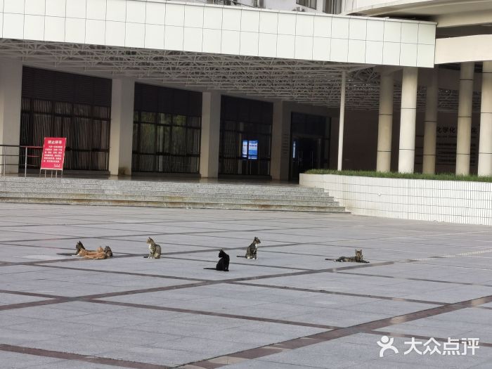 淮阴师范学院(长江路校区)图片