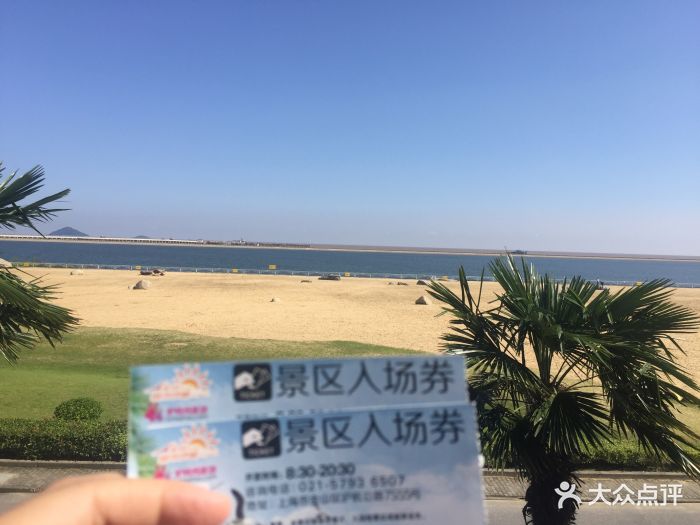 金山城市沙滩-图片-上海周边游-大众点评网
