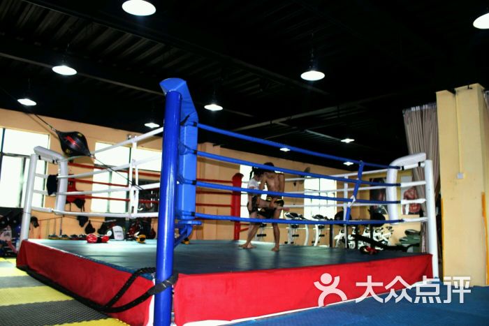 德龙武术搏击俱乐部-图片-顺德区运动健身