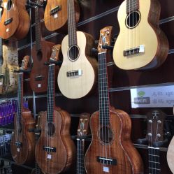 上海星光流行音乐教室的全部评价-上海