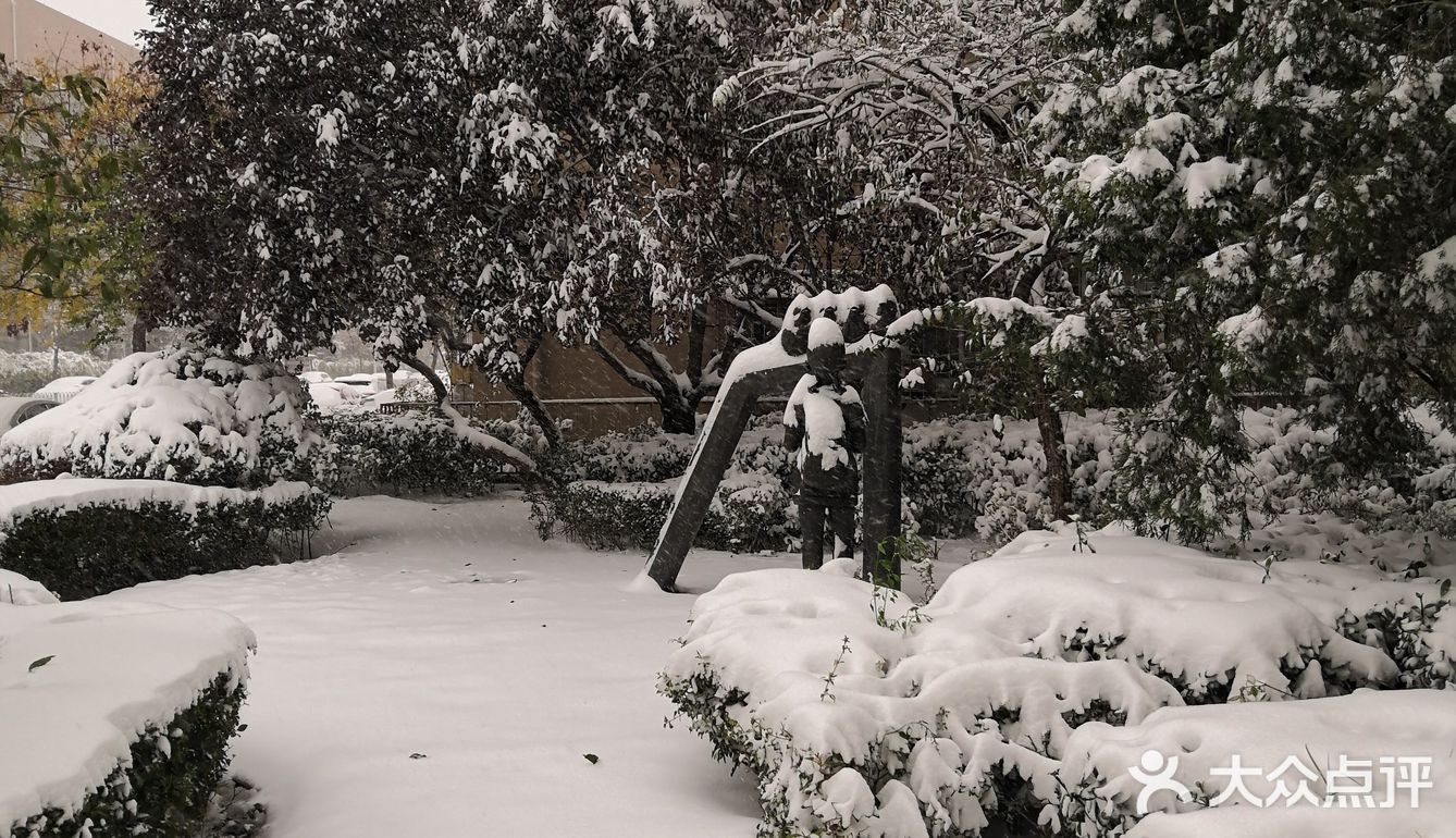 雪后街景