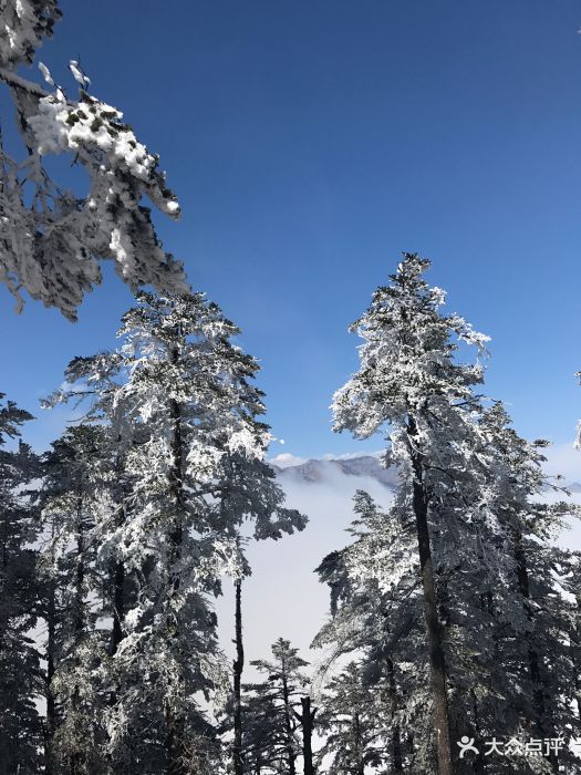 西岭雪山