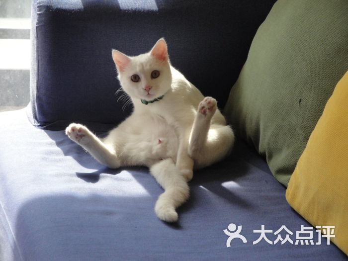 强生,你露点啦!_猫哥狗弟之家