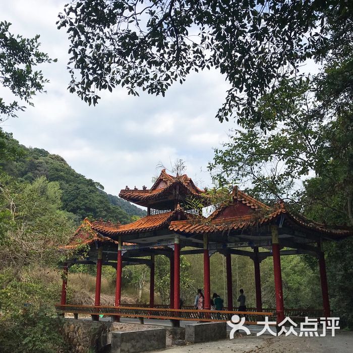 桂山风景区国家森林公园